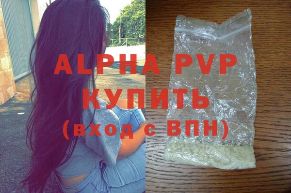 стаф Белокуриха