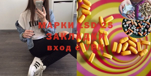 стаф Белокуриха