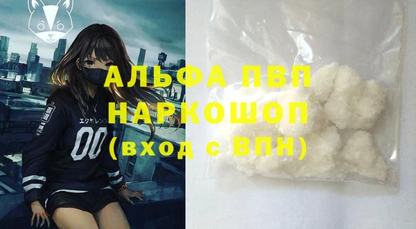 стаф Белокуриха