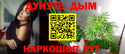 гидра Кимры