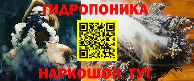 jwh Кинель