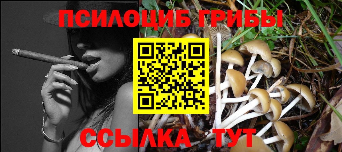 Псилоцибиновые грибы GOLDEN TEACHER Кушва